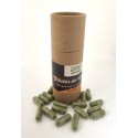 Gélules de moringa Gélules de moringa