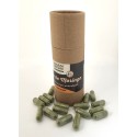 Gélules de moringa Gélules de moringa
